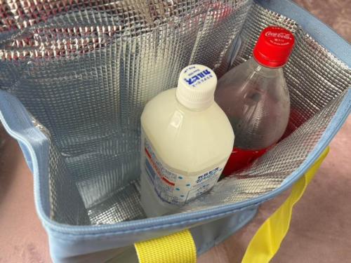 1.5リットルのペットボトルも楽々入るサイズ感