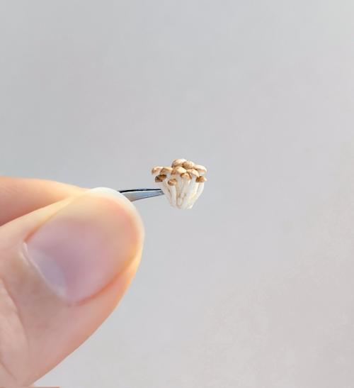 刺繍糸を固めたら「ぶなしめじ」になった　リアルすぎる立体作品が話題