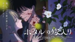 狂愛ストーリー「ホタルの嫁入り」テレビアニメ化　ノイタミナ枠で放送
