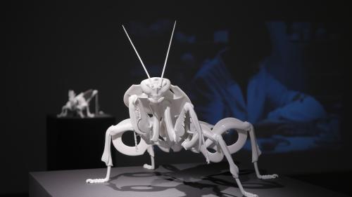 カマキリモチーフの作品