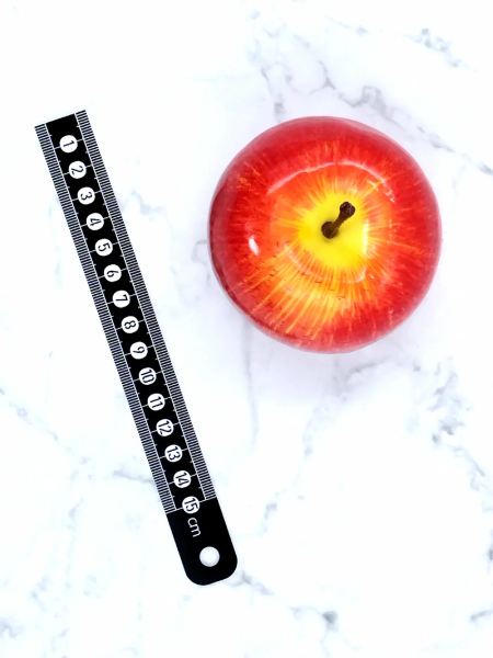 様々なプロの現場での活躍が期待されています