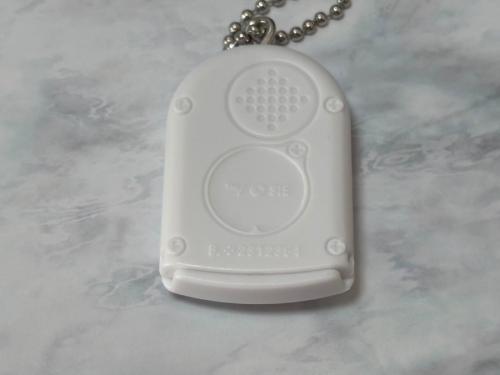 3つ目はPocketStation