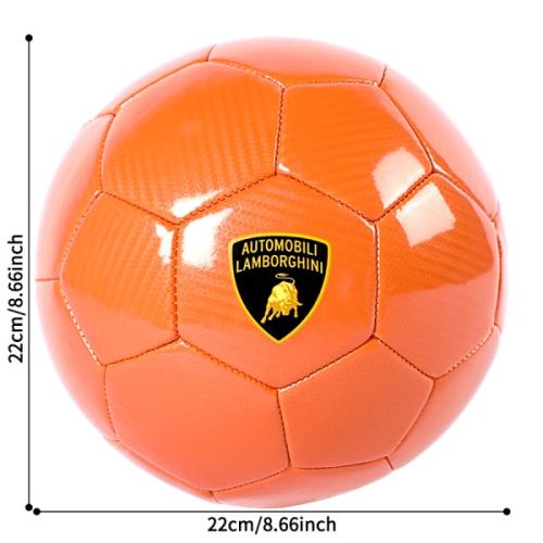 サイズは5号球（直径約22cm）