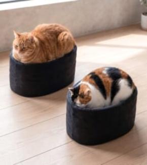 愛猫がお寿司に？軍艦巻き風ベッドに反響　商品化にも期待