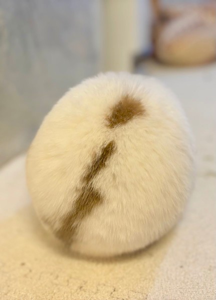 思わず包みたくなる球体フォルム　うさぎのまんまる後ろ姿に注目集まる