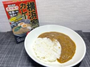 カレーなのに家系すぎる　ニンニク全振りの「横浜家系カレー」がヤバい