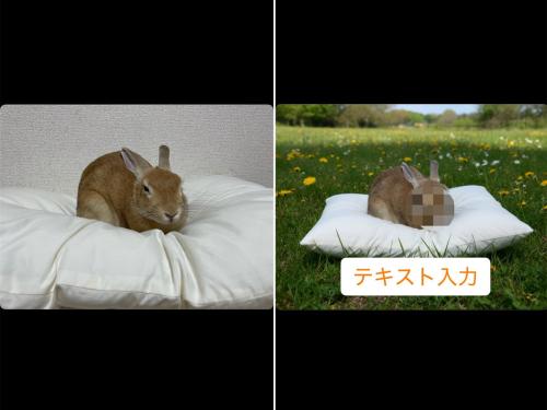 モザイクや文字が入れられる