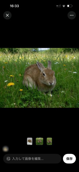 Grokによる画像加工