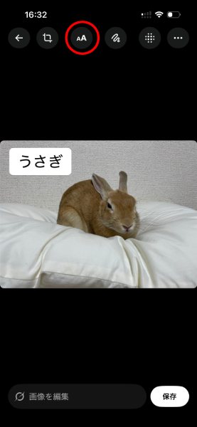 テキストの挿入や手書きラインの追加も可能に