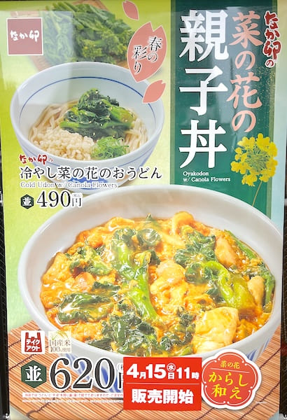 「菜の花の親子丼」＆「冷やし菜の花のおうどん」のポスター