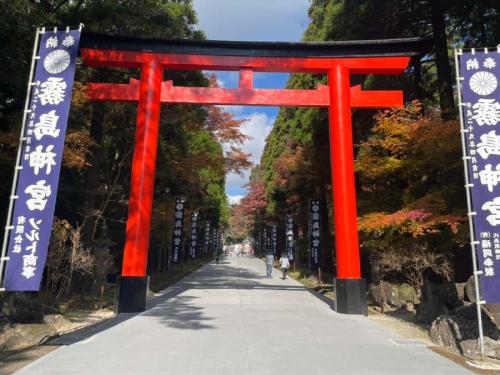 撮影した写真