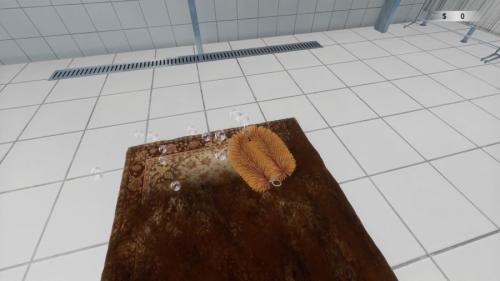 絨毯を洗うゲーム