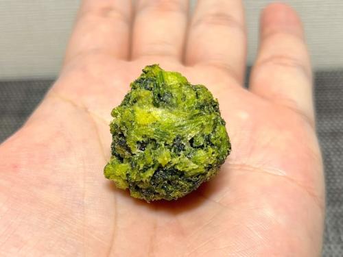 食感がクセになる