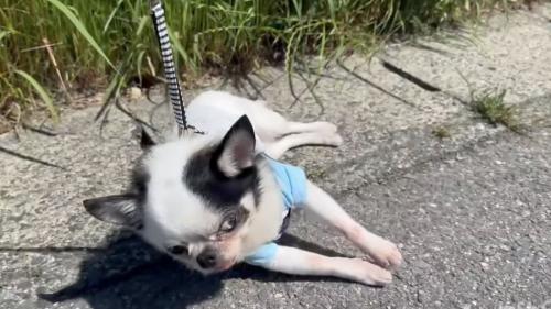 起こそうとしても、抵抗