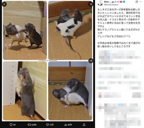 kinaさんの投稿