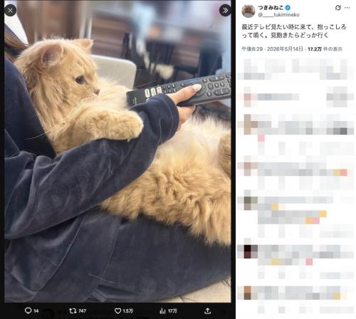 飼い主さんの投稿