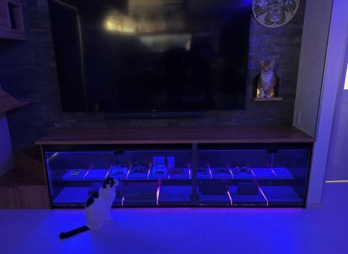 進化した猫対策ゲーム棚
