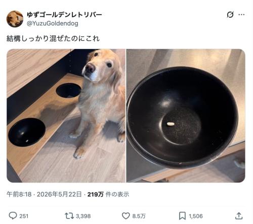 お薬センサーの精度が高すぎるわんこ ごはんの中からたった1錠を見抜く