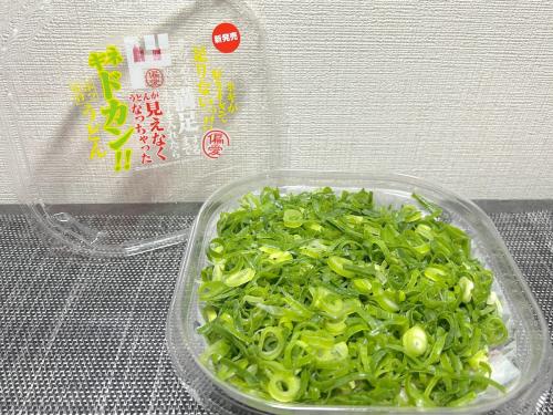 ネギが好きすぎて足りないっ！その一心で満足するまでネギを入れたらうどんが見えなくなっちゃった ネギドカン！！ぶっかけうどん