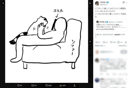 猫を両手でもふもふする主観動画、どうやって撮ってるの？そこには飼い主の涙ぐましい執念があった