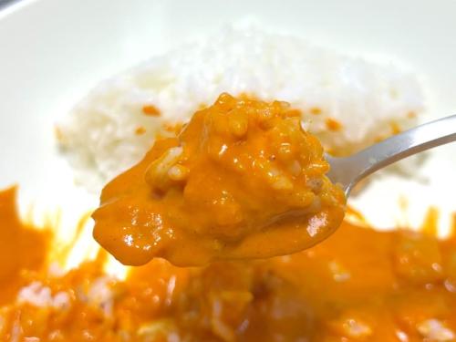 初めて食べる味わいのカレー