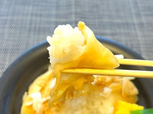 酢飯とガリは口の中で別々に存在する