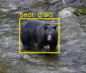 AIがクマを検知して通知　既存の監視カメラと連携できる「MIRAI-X KUMA」出荷開始
