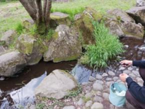 スルメで釣ったあの夏をもう一度? 相鉄グループ、親子で学べる「ザリガニ釣り体験」を開催