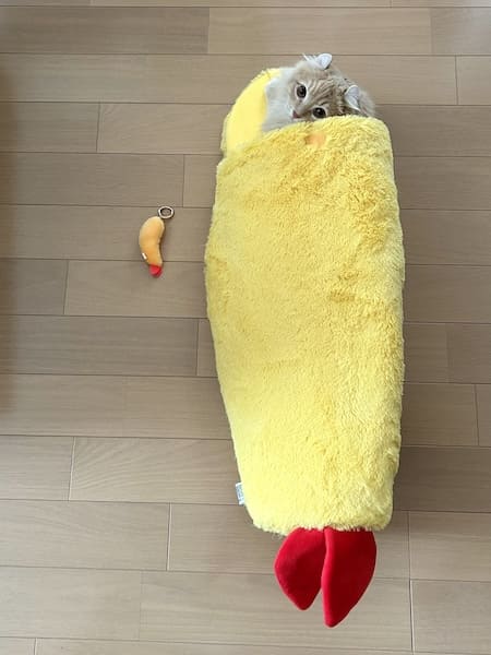 えび天のコスプレをしているチロルちゃん