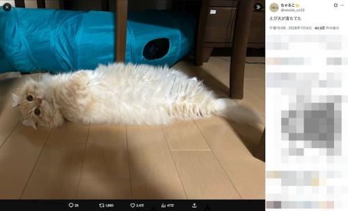 ちゃろこさんの投稿