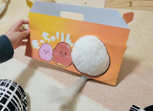 もっちゅりんならぬ「毛っちゅりん」！？チンチラのお尻がミスドの箱にシンデレラフィット