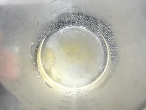 粉ゼラチンと砂糖をお湯で溶かし、混ぜる