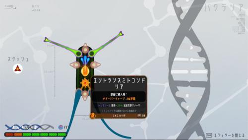 進化画面
