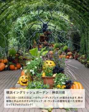 【2025 関東】見て、体験して楽しめる!ハロウィンイベント3選