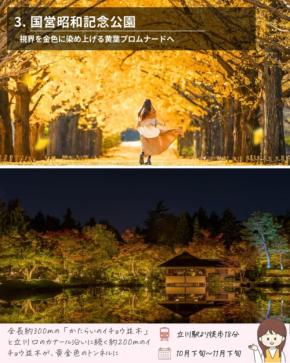 【2025】東京都内で紅葉を楽しむ!おすすめスポット4選