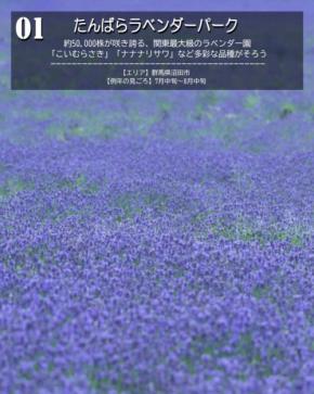 色と香りを楽しむ!関東のラベンダー畑3選