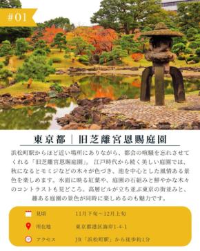 【2026年版】関東で楽しむ秋の絶景！紅葉スポット4選