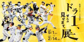 甲子園歴史館で阪神タイガース企画展「ドラ1、ぜんぶ見せます。展」開催
