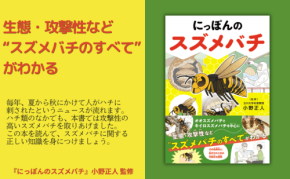 スズメバチの生態と身を守る知識を網羅した書籍『にっぽんのスズメバチ』発売