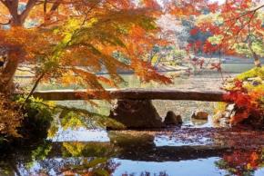 六義園で日本文化に親しむ秋のイベント開催