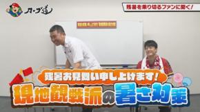 カープ道でマツダスタジアムの現地観戦派ファンを直撃