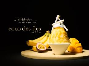 Joël Robuchonとgelato pique cafeが初コラボレーション、エキゾチックなトロピカルかき氷を限定販売