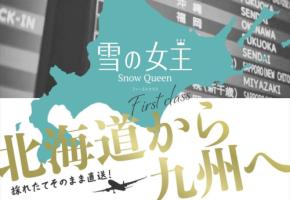 新ブランド「雪の女王」：北海道から全国へ夏ネギを供給し、農業再構築の一歩を踏み出す