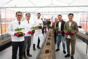 「Honda Sun × ENOWA FARM LAB」プレスプレビュー開催:多様な人が関わる農業の形を大分・湯布院から発信