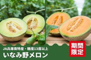 JAタウン「あつめて、兵庫。」で「JA兵庫南 いなみ野メロン」の予約販売開始、希少な赤肉メロン食べ比べセットも登場