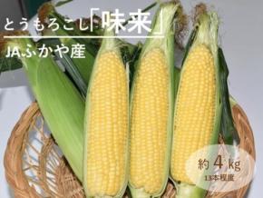 深谷産とうもろこし「味来」がJAタウンで販売開始、甘みとジューシーさが特徴