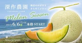 深作農園、2026年メロンシーズン本格スタート!産直販売、スイーツ、限定キャンペーンも