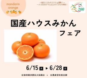 JA直営店舗で「国産ハウスみかんフェア」開催、オリジナルスイーツを提供