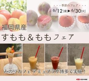 福岡県産すもも＆ももフェア、みのりカフェアミュプラザ博多店で開催