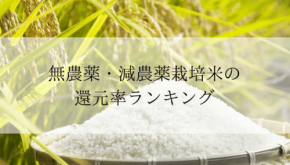 ふるさと納税『無農薬・減農薬栽培米』還元率ランキング発表!1位は福島県会津坂下町